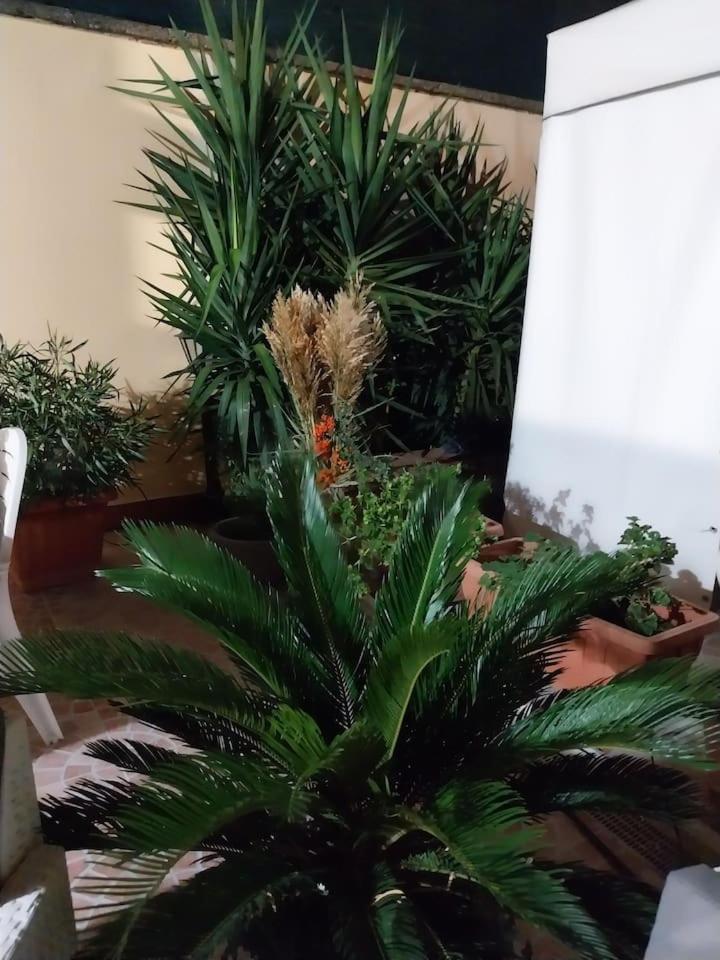Il Giardino Di Marimar Apartamento *